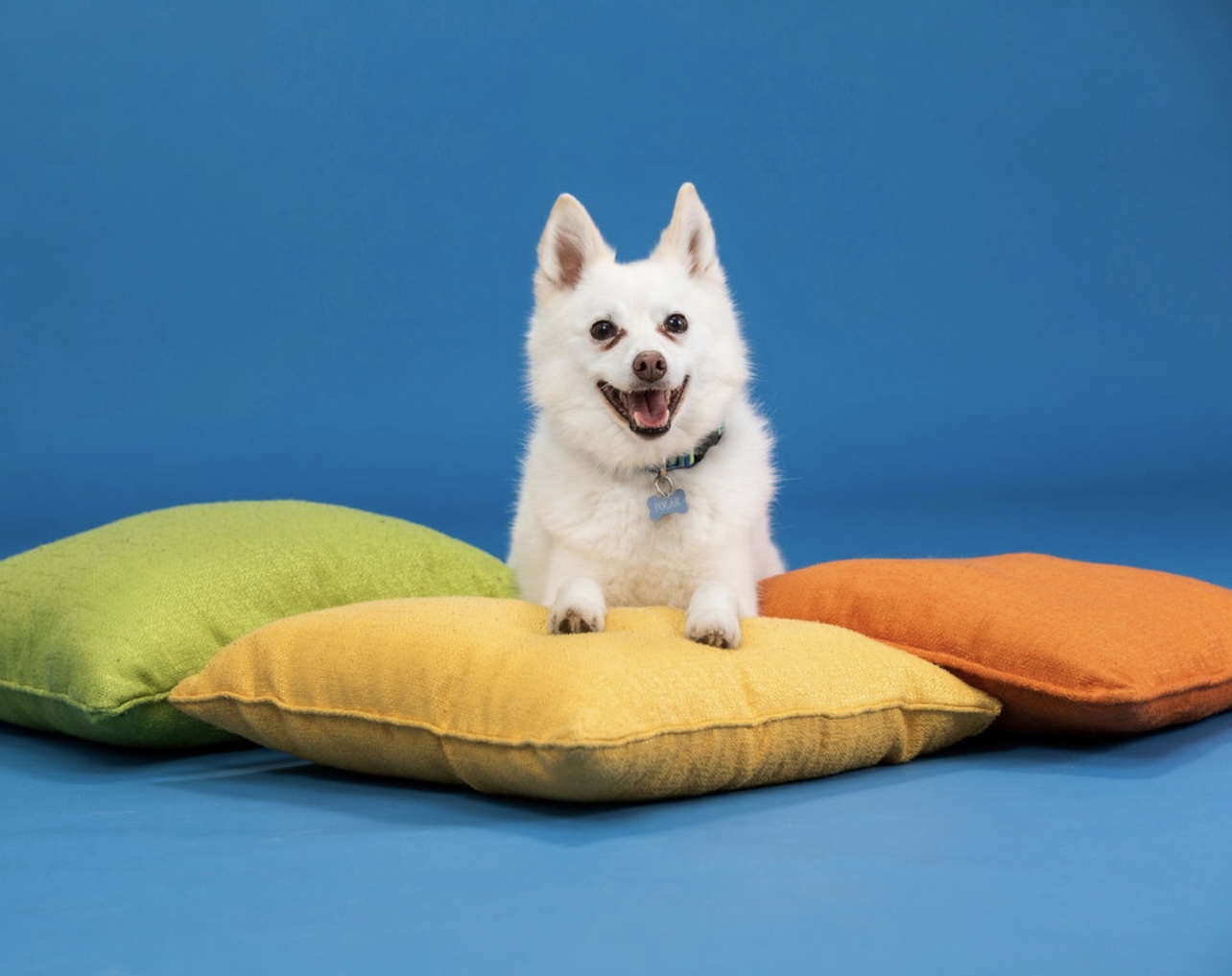 0BE3B872-6206-4F12-AD76-5052B71D2474