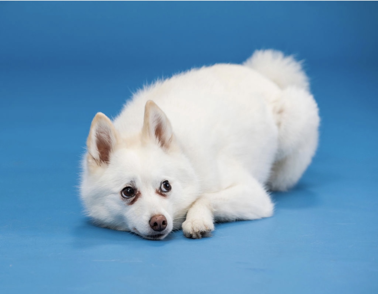 465982B7-2AFD-4D11-85D6-E1014F5AE589 (1)