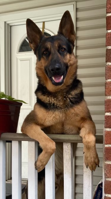 A1D0A5C2-56BA-459E-909C-238E936B34F5