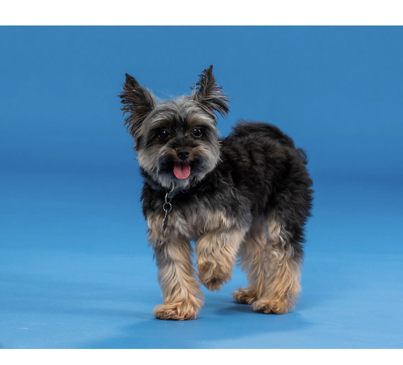 B7146614-9621-493B-A1E7-51EC5C9AEDE5 (1)