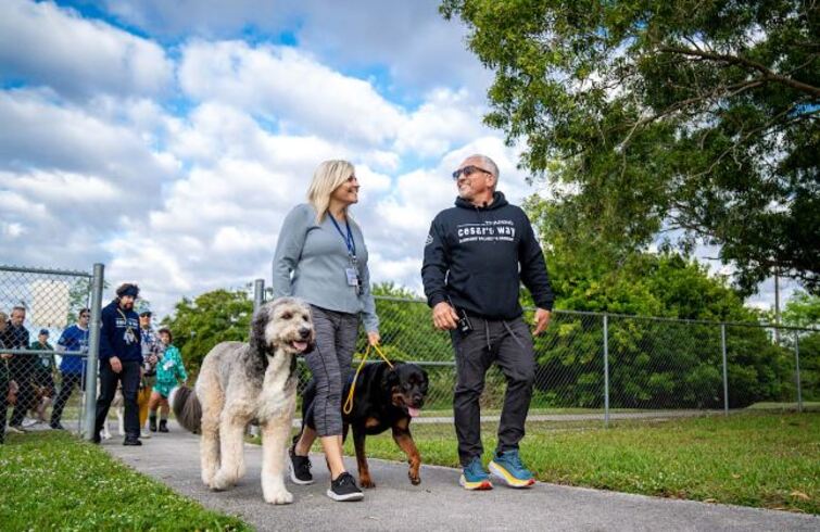 Zenpaws Pack Strolls