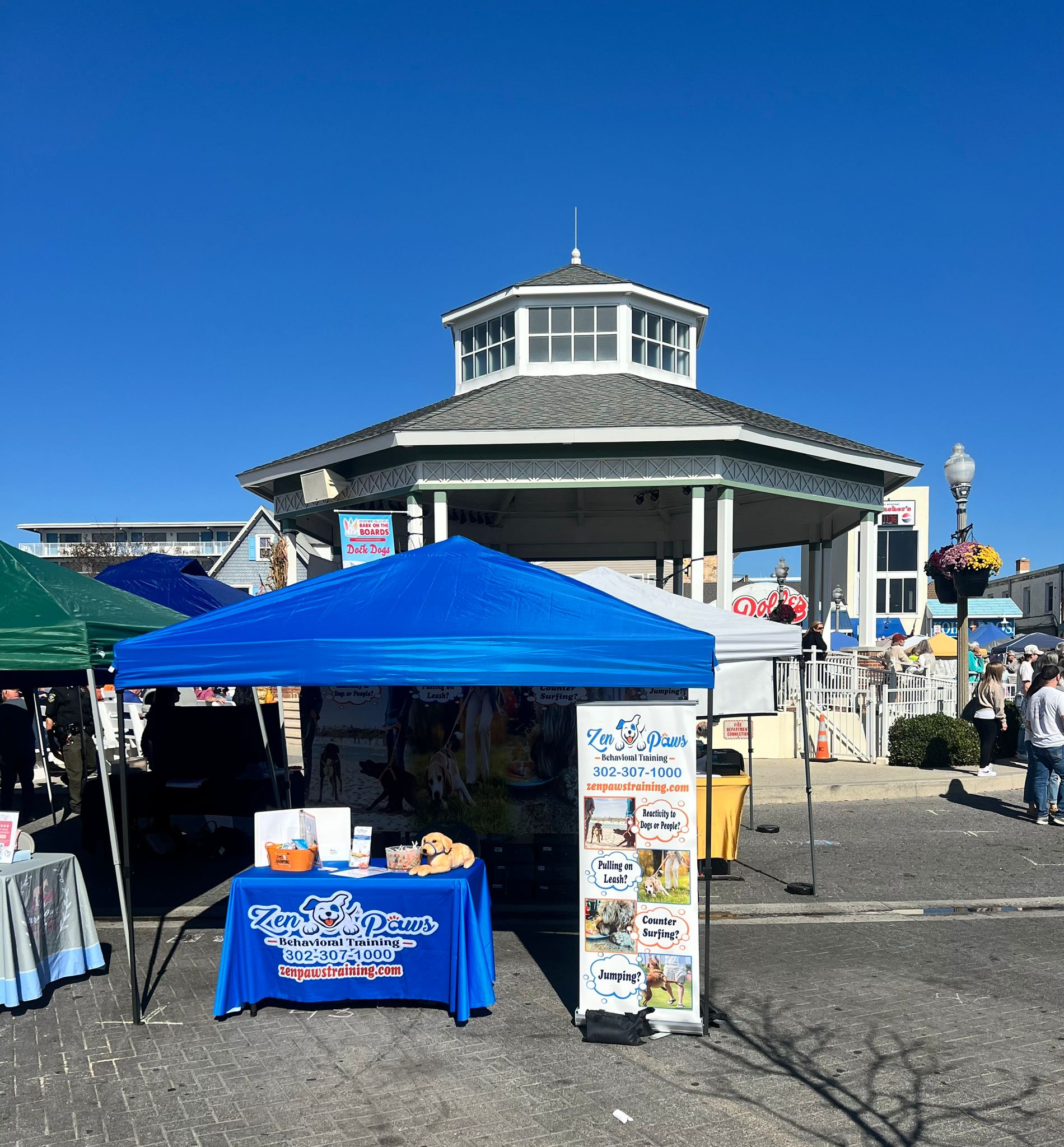 Rehoboth Beach dog lovers day
