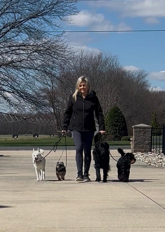Personalized dog training at home in Dover Delaware