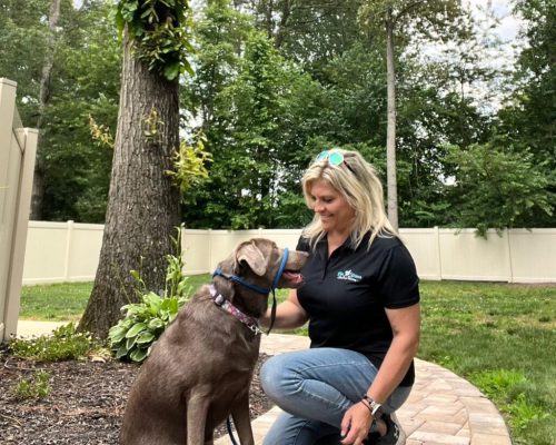 Best behavioral dog trainer in Lewes DE and its surroundings. Best behavioral dog training services in Lewes DE and its surroundings.