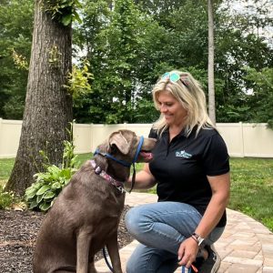 Best Dog Trainer in Lewes, de and its surroundings.